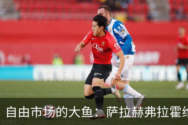 自由市场的大鱼：萨拉赫弗拉霍维奇在列 桑乔或再回多特